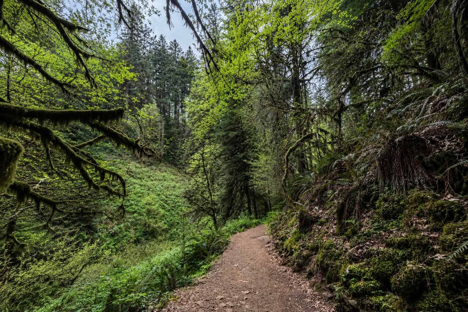 Message from the Sirians—Your Journey Can Be Easy